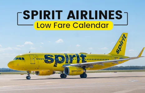 How to Book Tickets with Spirit Airlines Low Fare Calendar?