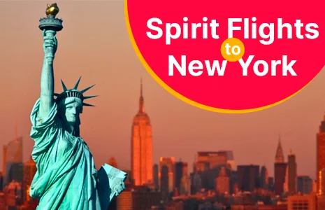 Does Spirit Airlines Flies New York directly?